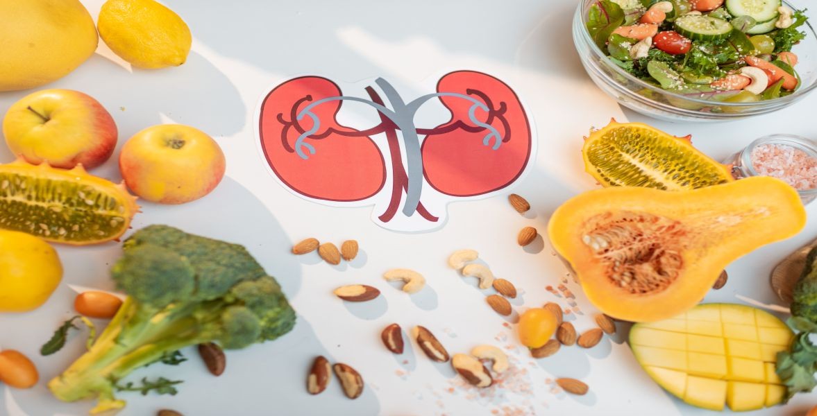 A low-protein diet is beneficial for Kidney Disease